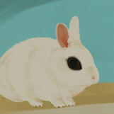 Pet portrait